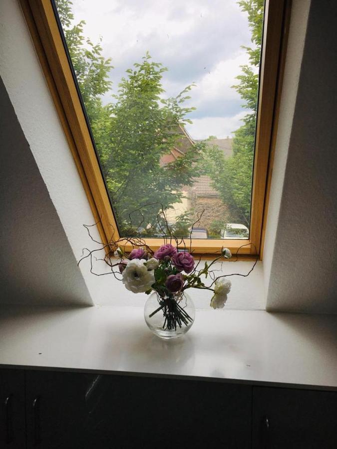 Rheingau - Schoene Moeblierte Ferienwohnung Eltville am Rhein Eksteriør billede